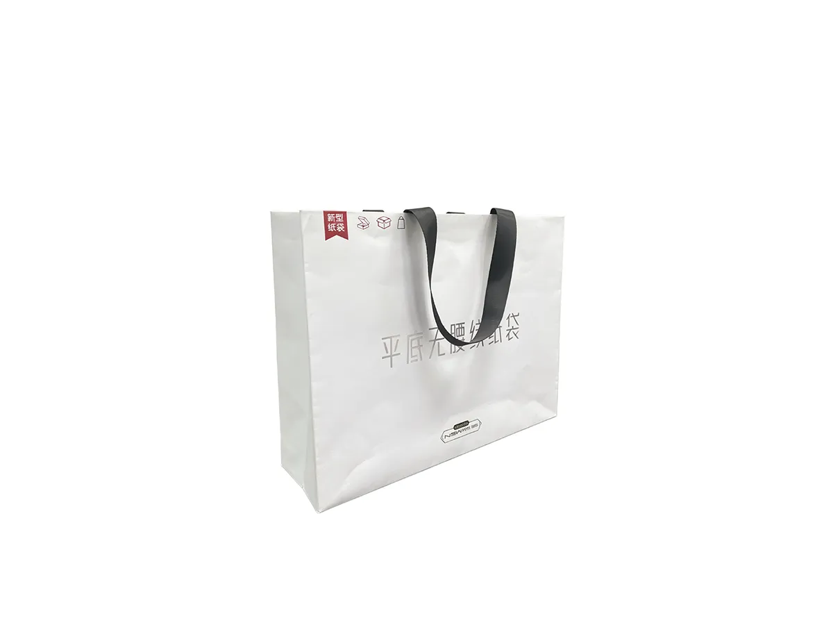 Custom Paper Bag with Flat Handle